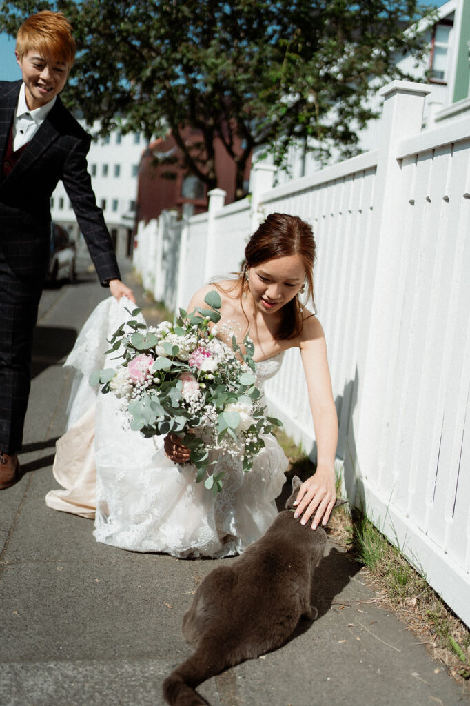 bride bends down to pet cat during downtown wedding in reykjavik iceland.